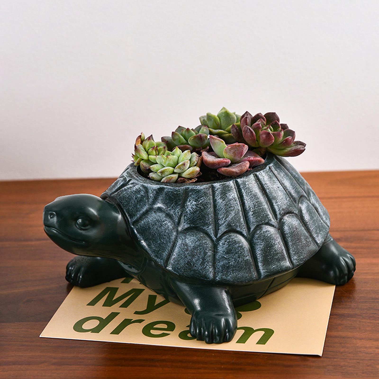 Bonsai Garden And Cafe - Schildpad plantenbak bloempot verzamelbaar decoratief bureau