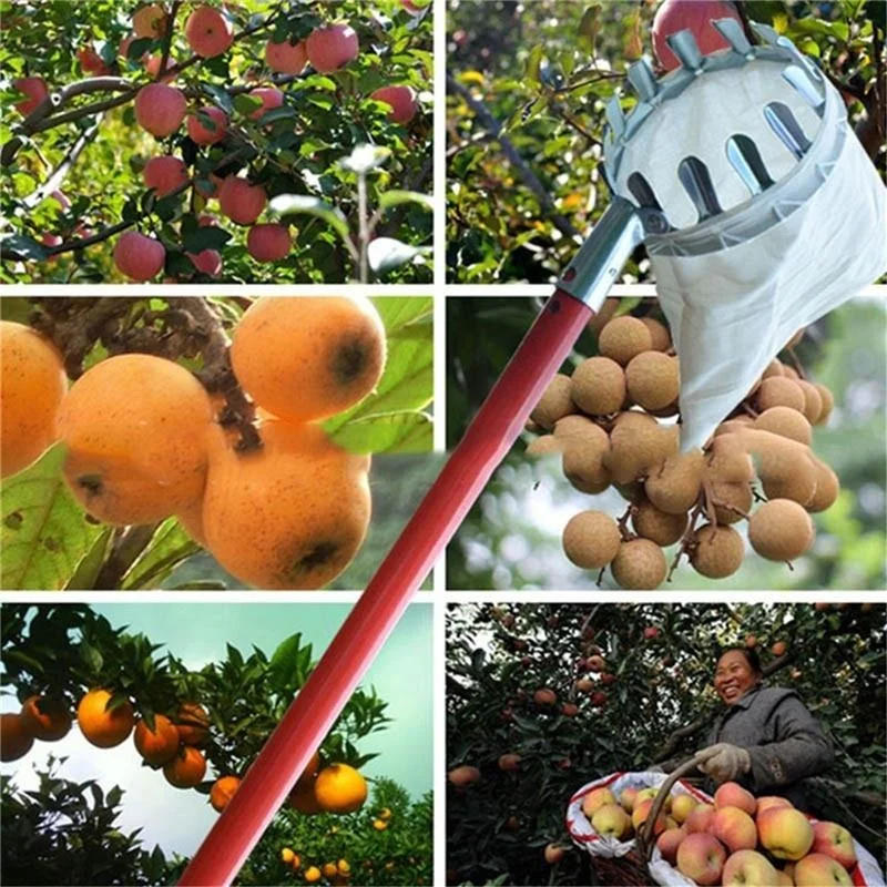 Bonsai Garden Tree - Boerderij Fruitplukker Tuin Boomgaard Perzik Appel