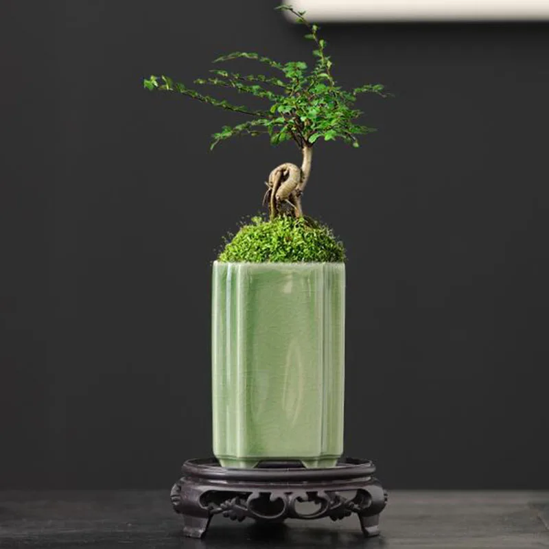Bonsai Garden Art - Porseleinen vierkante celadon geglazuurde orchideeënpot bonsai