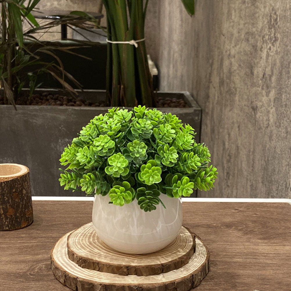 Realistische nep-bonsai kunstp - Bonsai Garden And Cafe recensie en prijs