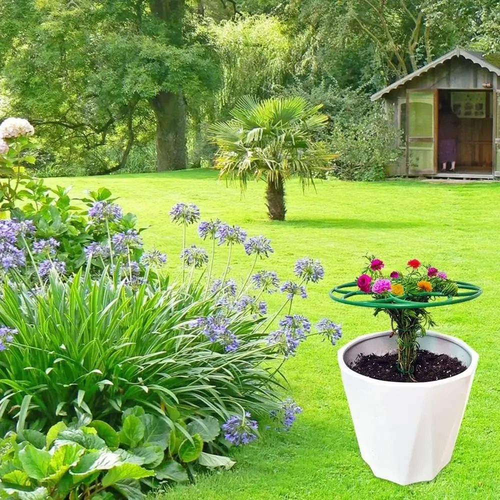 Nieuw S/M/L Bonsai Klimrek Sta - Bonsai Garden Stand recensie en prijs