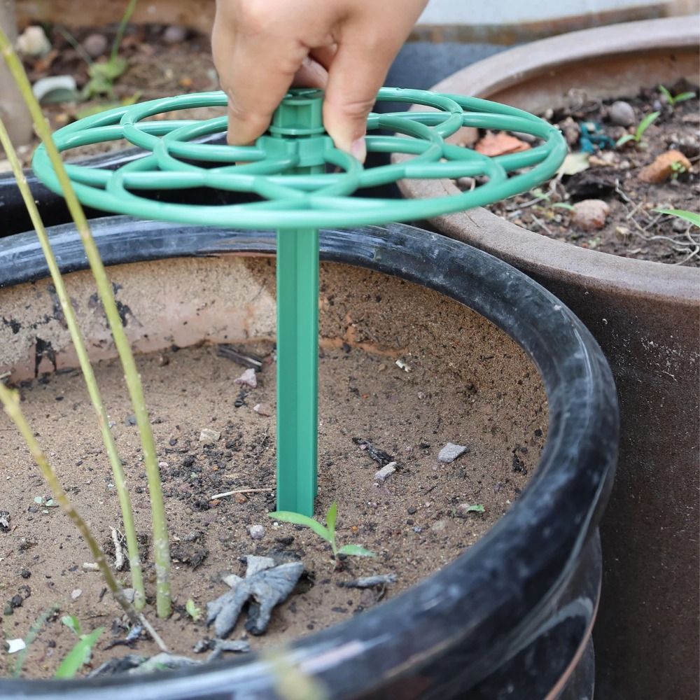 S/M/L Plastic Tuin Stapelbaar  - Bonsai Garden Stand recensie en prijs