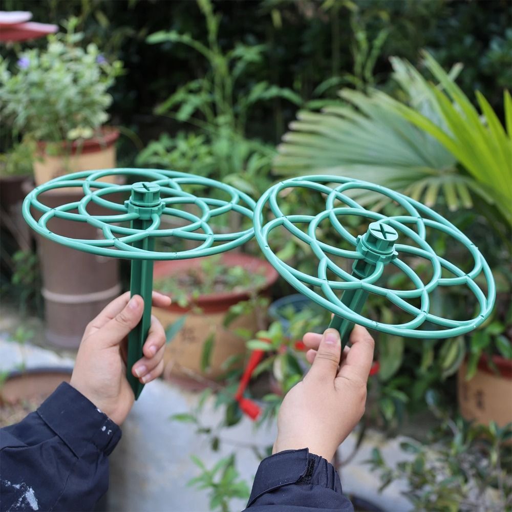S/M/L Plastic Tuin Stapelbaar  - Bonsai Garden Stand recensie en prijs