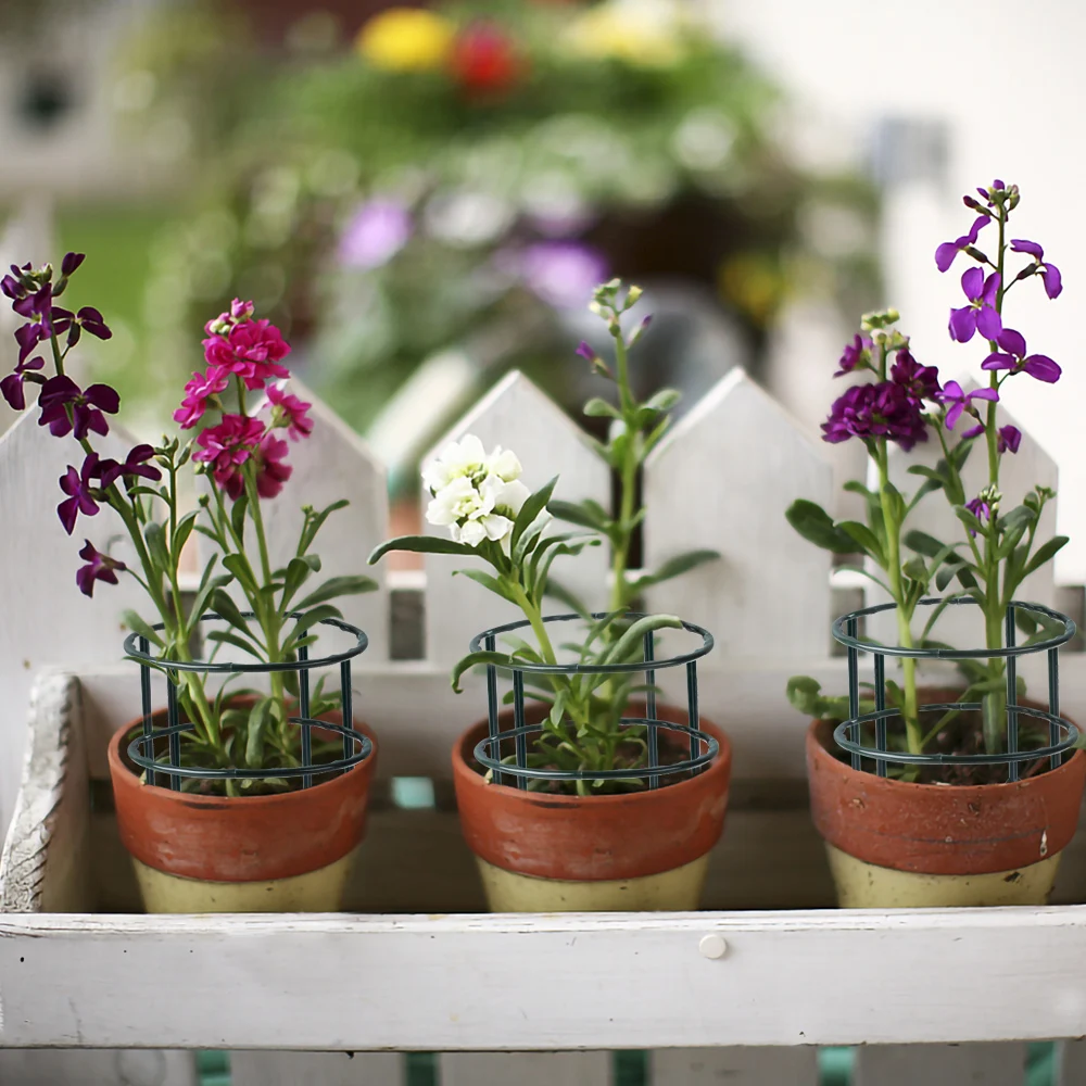 Tuinplantensteunkooi Plie Bloe - Bonsai Garden Stand recensie en prijs