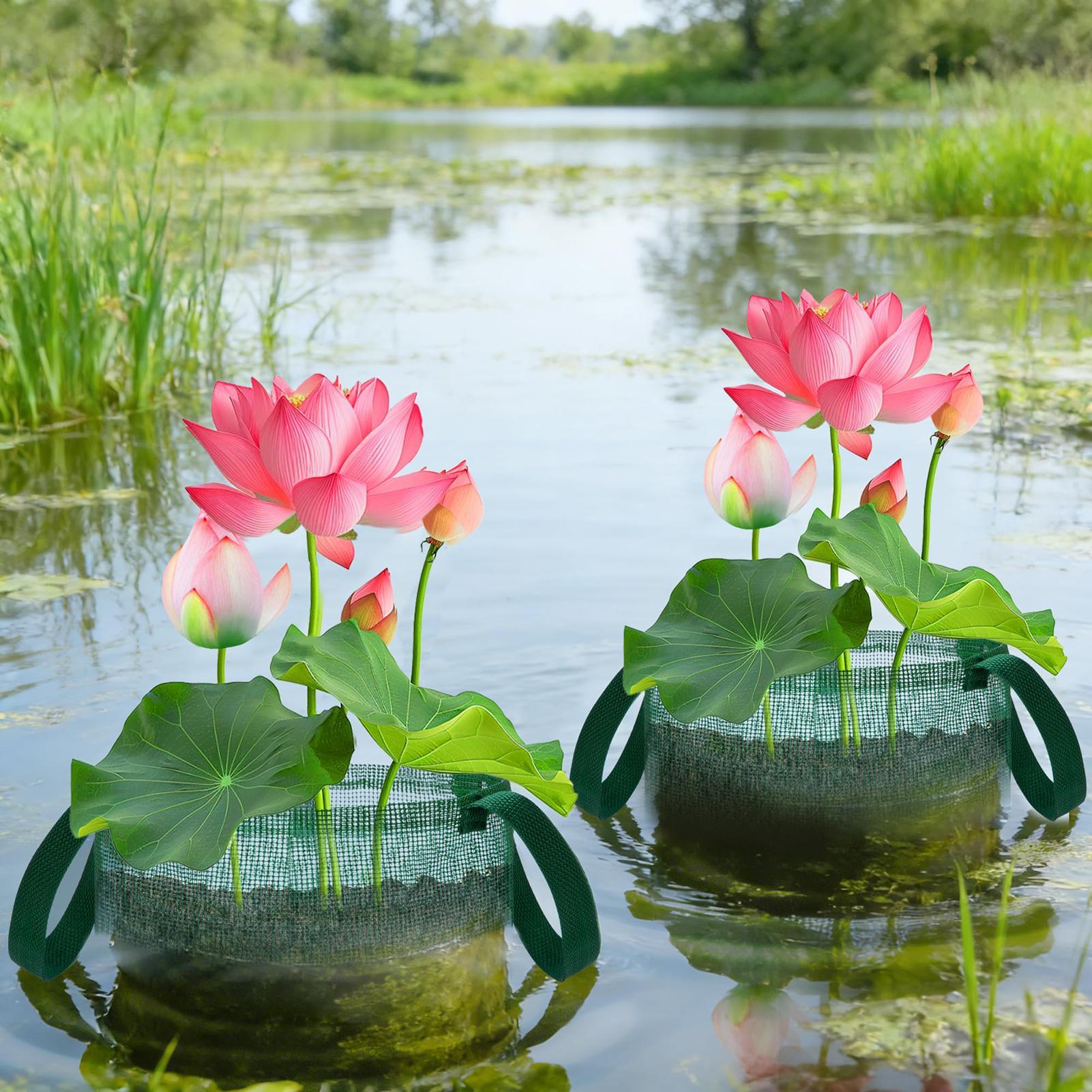 Vijvermanden voor Bonsai 4 stu - Bonsai Garden With Pond recensie en prijs