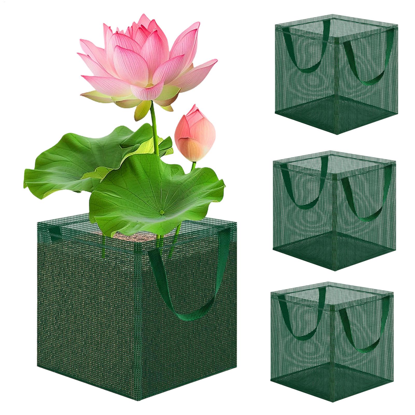 Vijvermanden voor Bonsai 4 stu - Bonsai Garden With Pond recensie en prijs