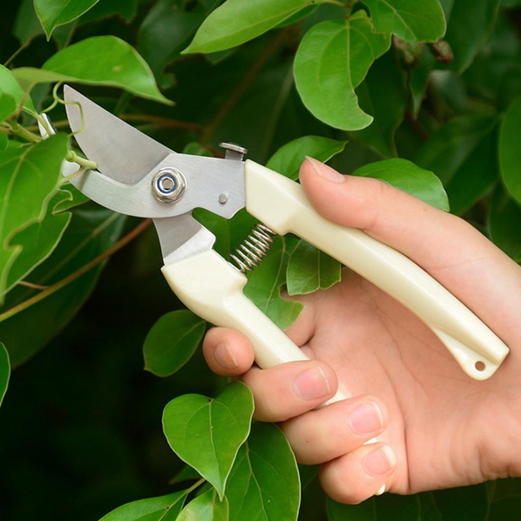 Professionele tuinschaar van r - Bonsai Garden Tree recensie en prijs