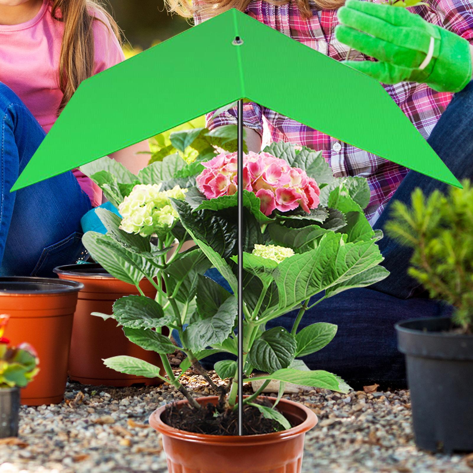 Plantenparaplu Anti-UV Warmter - Bonsai Garden And Cafe recensie en prijs