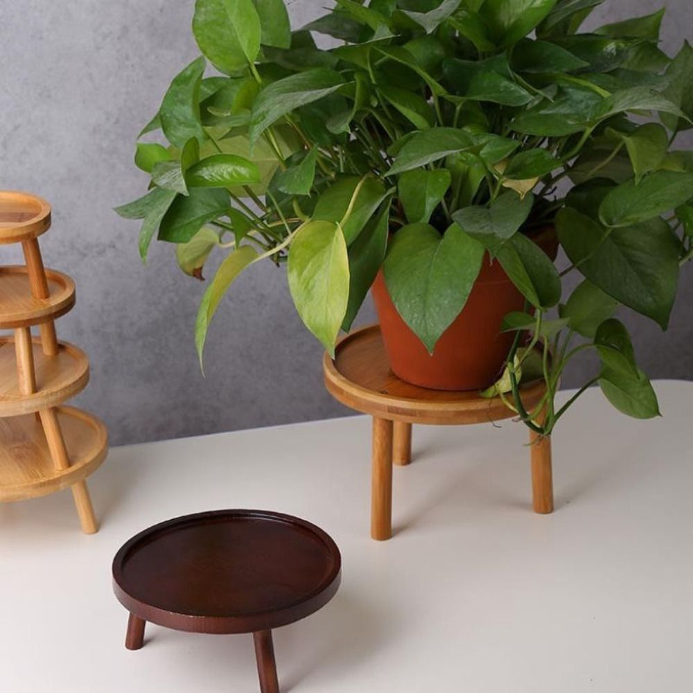 Solide creatieve succulente bl - Bonsai Garden Stand recensie en prijs