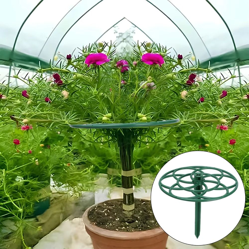 S/M/L Bonsai Klimrek Plastic M - Bonsai Garden Stand recensie en prijs