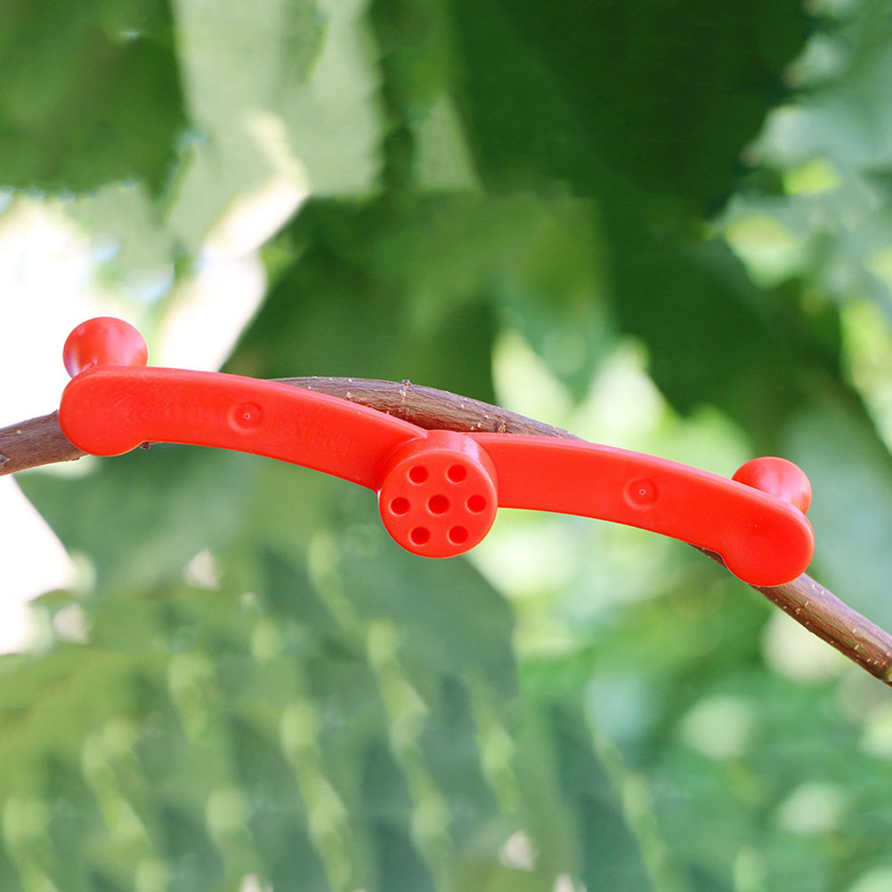 10 stuks verstelbare plantentr - Bonsai Garden Tree recensie en prijs