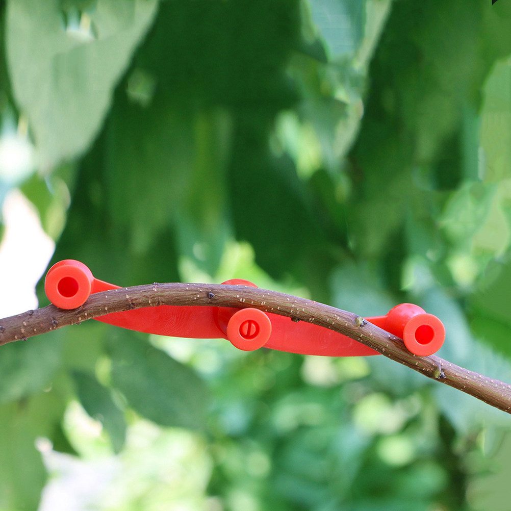 10 stuks verstelbare plantentr - Bonsai Garden Tree recensie en prijs