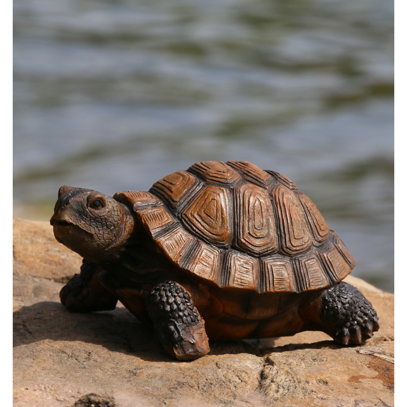 Leuke Hars Schildpad Standbeel - Bonsai Garden With Pond recensie en prijs