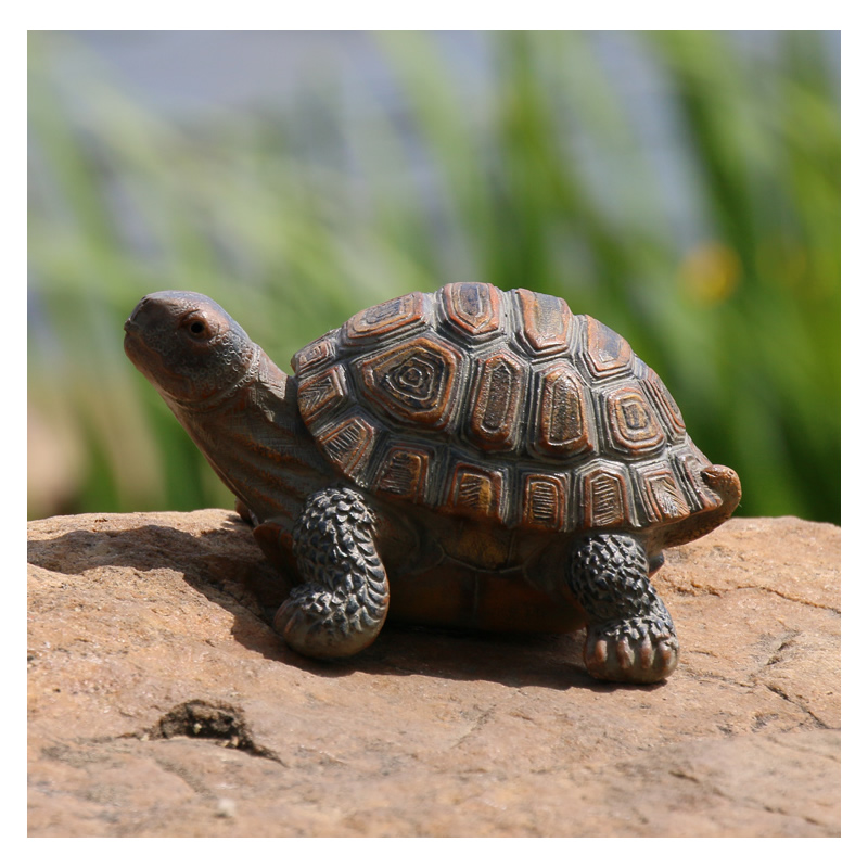 Leuke Hars Schildpad Standbeel - Bonsai Garden With Pond recensie en prijs