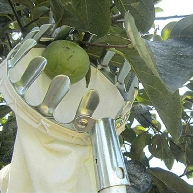 Boerderij Fruitplukker Tuin Bo - Bonsai Garden Tree recensie en prijs