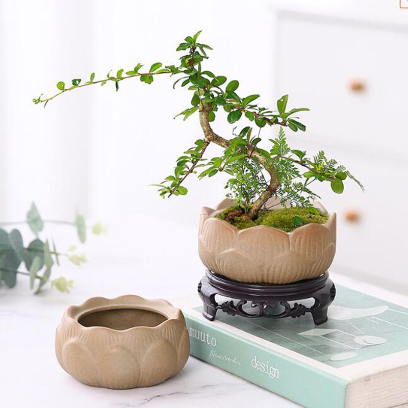 Grof Aardewerk Lotus Groene Pl - Bonsai Garden Art recensie en prijs