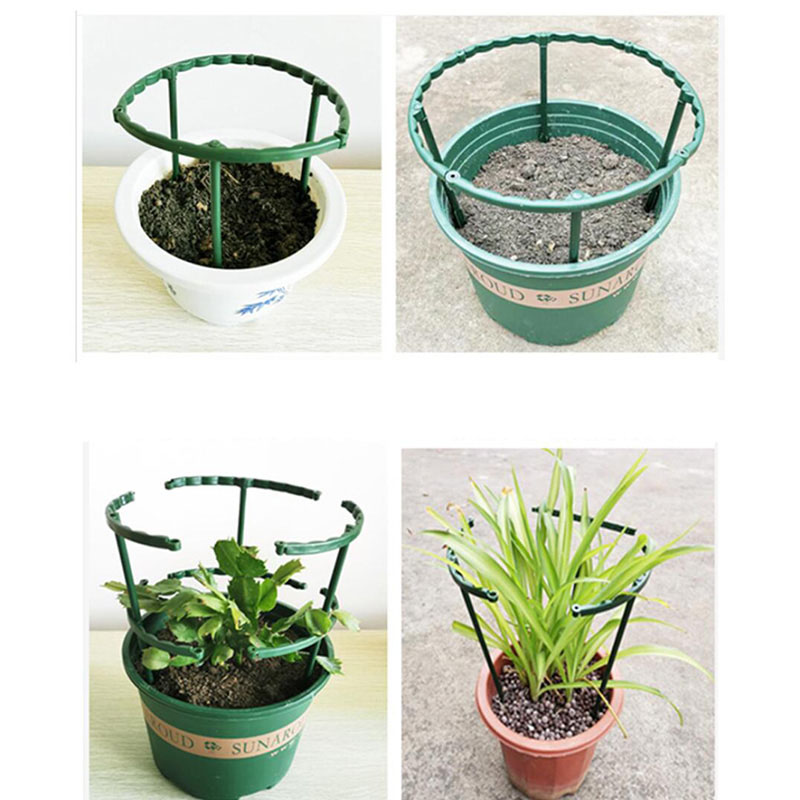 Plantenondersteuningskooi Plie - Bonsai Garden Stand recensie en prijs