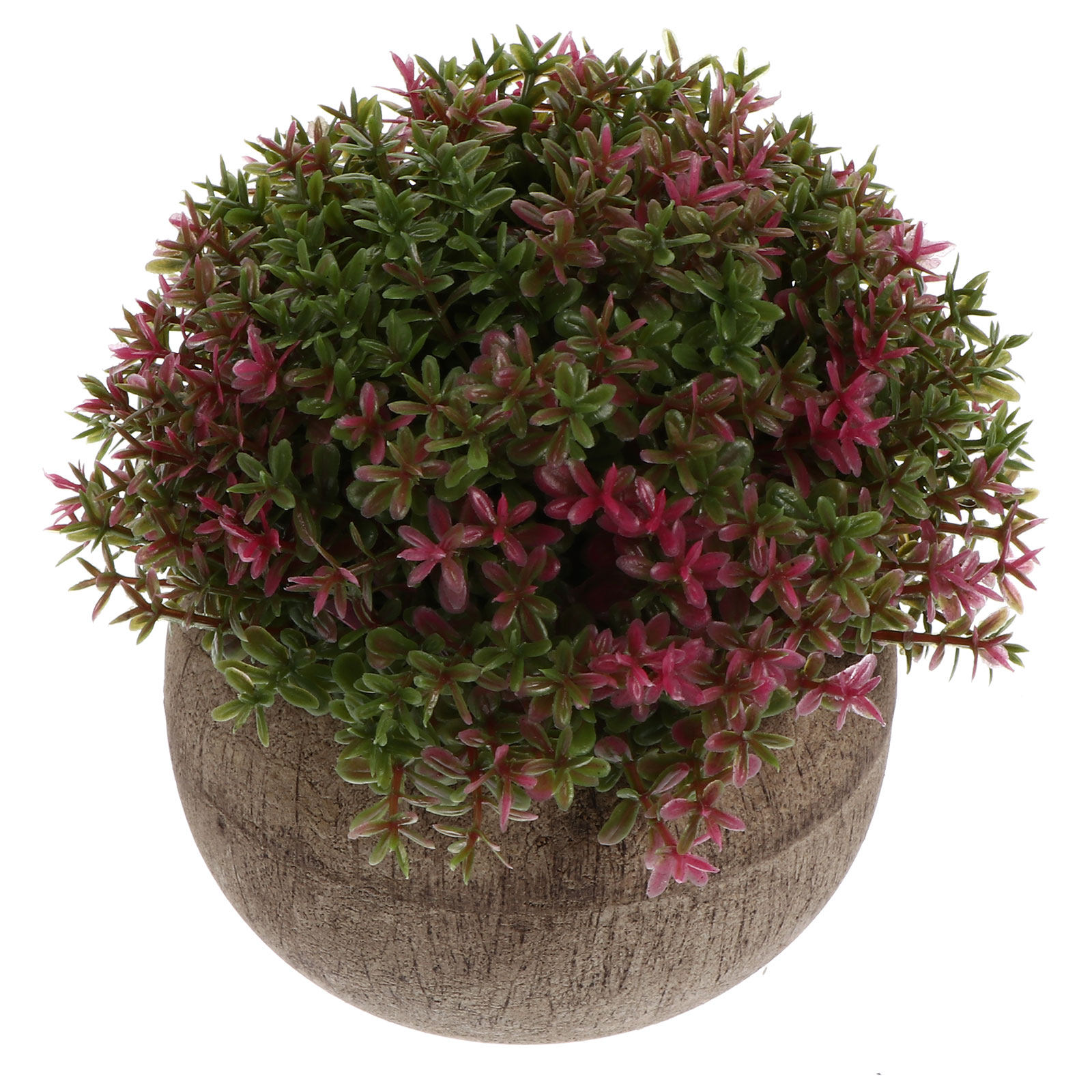 Mini Plastic Bonsai Realistisc - Bonsai Garden And Cafe recensie en prijs
