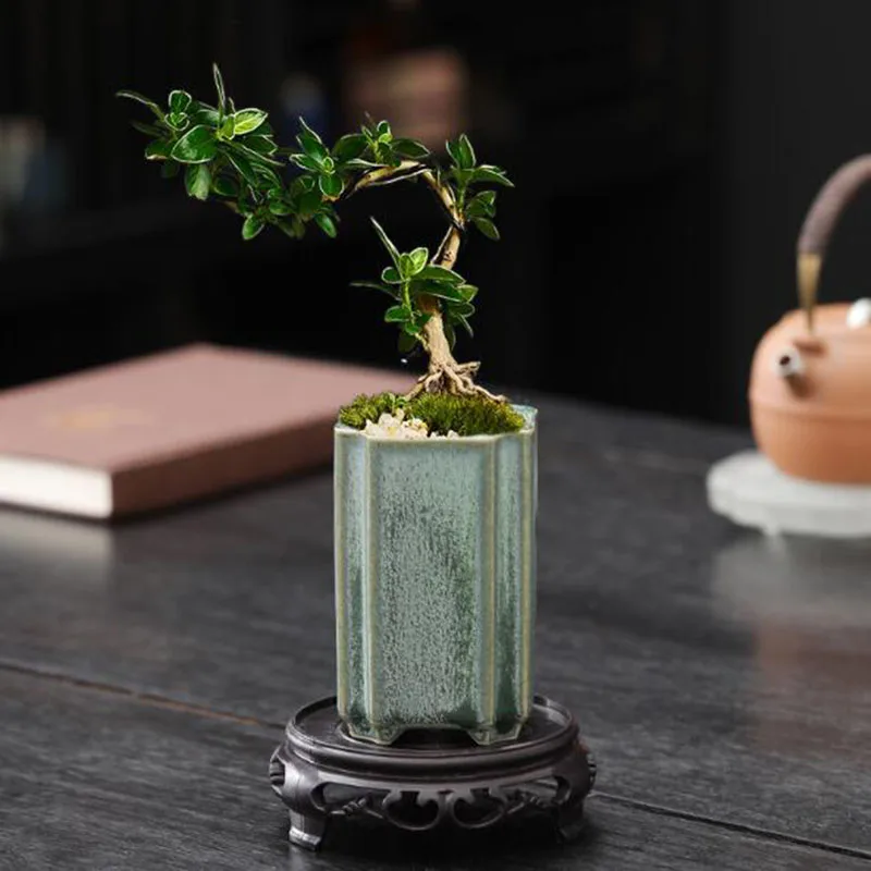 Porseleinen vierkante celadon  - Bonsai Garden Art recensie en prijs