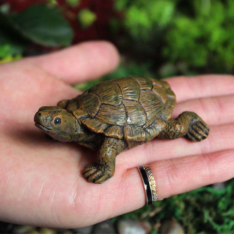 Kleine schildpad model hars be - Bonsai Garden With Pond recensie en prijs