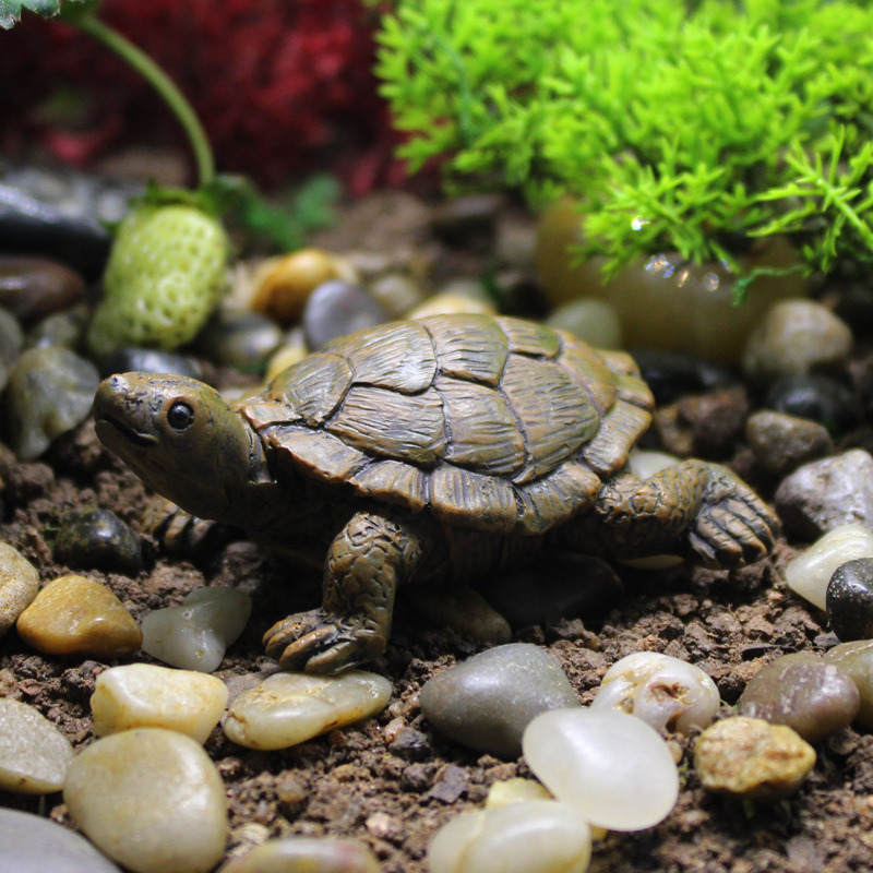 Kleine schildpad model hars be - Bonsai Garden With Pond recensie en prijs
